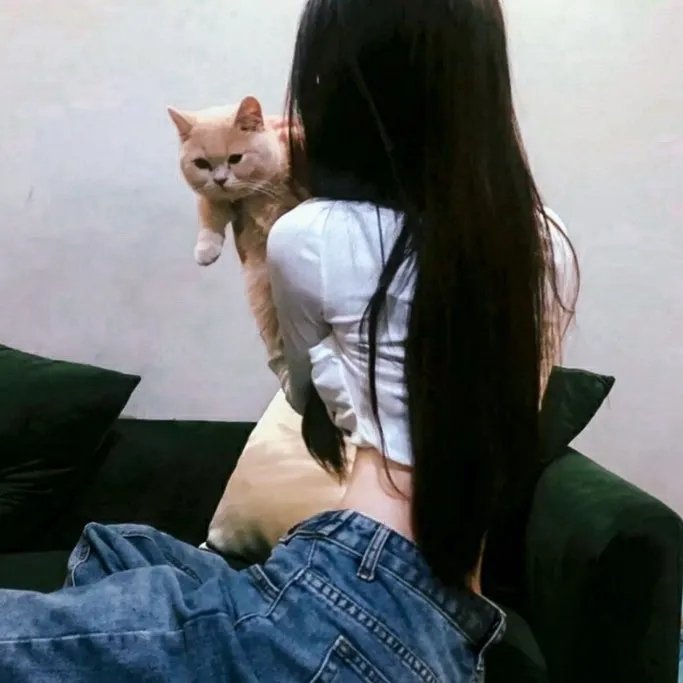 布里斯营